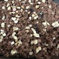 クック7GAA9Y☆'s cooksnap of when they made バレンタイン材料２つ☆フルグラ簡単チョコ.