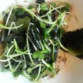 i0228's cooksnap of when they made わかめとかいわれのポン酢和え.
