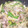 あほあこ's cooksnap of when they made 豚肉とじゃがいものカレー炒め.
