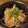 Momipad's cooksnap of when they made ゴマたっぷりブリの漬け丼☆.