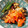Eggplant23's cooksnap of when they made さばの香草焼き～簡単サルサ風ソース～.