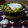 ダイナマイト漆黒's cooksnap of when they made 納豆とがごめ昆布とろろの温玉丼.