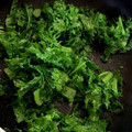 シェリーlᵒᵛᵉϋෆ's cooksnap of when they made 我が家の減塩　わさび菜のごま油炒め.