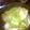けろみーちゃん's cooksnap of when they made 簡単美味しい大量消費 白菜コンソメ煮.