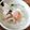 猫まんま☆'s cooksnap of when they made 豆乳で作る＊ちゃんぽん＊スープ♪.