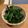 まきっぺ♪'s cooksnap of when they made 簡単ほうれん草の胡麻和え　☆☆☆.