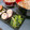 あゆまんま♪'s cooksnap of when they made 【時短レシピ】ほうれん草の胡麻和え.