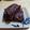 ｷﾜﾐ's cooksnap of when they made チョコレート ブラウニー.