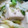 クックFMOE0H☆'s cooksnap of when they made タモさんの豆腐炒め.
