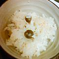 natu12240101's cooksnap of when they made ホクホク☆ほんのり香るむかごご飯☆.