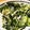 67luna's cooksnap of when they made きゅうりとワカメのごま油和え.