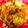 meechan_y's cooksnap of when they made 味付け四つで激ウマ野菜炒め！.