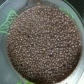 すあま☆なごみん's cooksnap of when they made チョコチアプディング（ヴィーガン）.