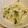 youtapapa's cooksnap of when they made しゃきしゃき歯ごたえ☆大根と帆立のサラダ.