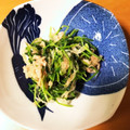 クック2WZMLZ☆'s cooksnap of when they made 豆苗と玉ねぎとツナの和え物.