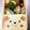 Chaaa_room's cooksnap of when they made ＊キャラ弁＊　パンDEくまちゃん♥.
