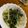 クックR9LDQJ☆'s cooksnap of when they made ほうれん草ののりじゃこナムル.