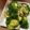 EnjoySun's cooksnap of when they made プレ農家めし◼︎ブロッコリークミンサラダ.