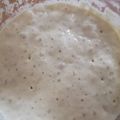 ゆるりごはん's cooksnap of when they made 酒粕酵母中種.
