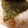 カクヨ's cooksnap of when they made 簡単おいしいのりバタご飯.