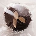 tugaruttyo's cooksnap of when they made 低糖質ガトーショコラ.