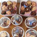 Cocoたん0307's cooksnap of when they made バレンタインに♪☆簡単チョコクランチ2.