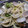 慎＆祐ママ's cooksnap of when they made 春キャベツとあさりの蒸し煮.