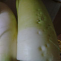 クックGCMPUO☆'s cooksnap of when they made ☆大根おろしソース☆.