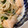 ポムポムポヨコ's cooksnap of when they made 秋鮭のソテー☆和風えのきソース.