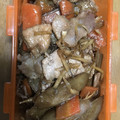 クックP8KGHH☆'s cooksnap of when they made 豚肉とごぼうのしぐれ煮.