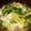 しんにし's cooksnap of when they made カブの葉と卵の中華スープ♪.
