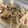 sachi888's cooksnap of when they made ごぼうとベーコンのこくうまサラダ.