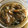 ぶざきょろ's cooksnap of when they made ふきのとう味噌.