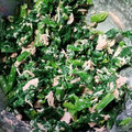 クックRL4FOO☆'s cooksnap of when they made ほうれん草のごまツナマヨ和え.