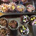 ほのりんママさん's cooksnap of when they made バレンタインに♫簡単大量チョコクランチ.