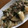 スタバえいこ's cooksnap of when they made 簡単！豚こまとカブの中華風炒め.