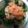 ma___111's cooksnap of when they made ヘルシー！鮭フレーク納豆.