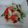 melmarilyn's cooksnap of when they made 菊芋とイチゴのサラダ.