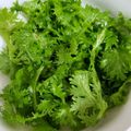sæki's cooksnap of when they made わさび菜のナムル.