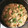 tomome's cooksnap of when they made 食べ過ぎに♪鶏と切り干し大根の煮物♪簡単.