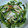 mantacarp's cooksnap of when they made 豆苗とちくわのマヨ炒め.
