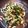 mikannna2's cooksnap of when they made からし菜のベーコン炒め.