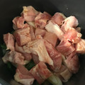 SHIOREEN's cooksnap of when they made 簡単！煮るだけ！鶏肉のネギ煮.