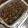 クックXUDULX☆'s cooksnap of when they made 苦くない！ふきのとう胡桃味噌.