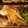 Kori_chan's cooksnap of when they made 鯛の昆布バター蒸し.