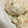 メロンパンケーキ's cooksnap of when they made とろとろ肉だんごの水炊き.