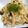 nosso's cooksnap of when they made 24時間保温しちゃった米でチーズリゾット.