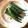 栗丸うさぎ's cooksnap of when they made さっぱりオクラを電子レンジで.