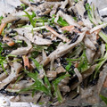 たぁ3's cooksnap of when they made ごぼうとツナとひじきの胡麻マヨサラダ♪.