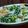 Shosui3's cooksnap of when they made 春菊の洋風白和え.